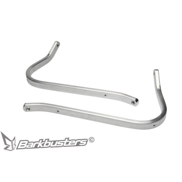 Backbone Pair